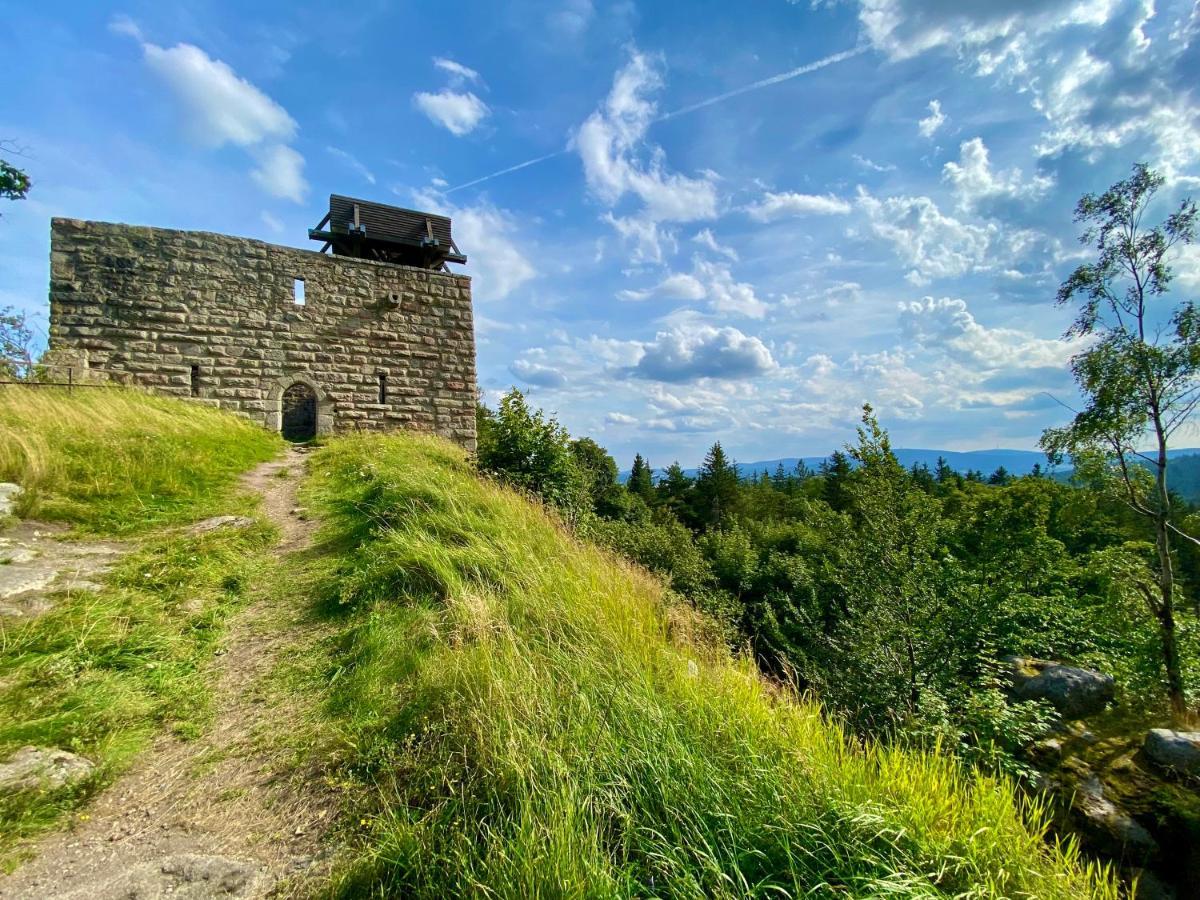 Ferienwohnung Oxana Im Naturpark Fichtelgebirge Schonwald  Εξωτερικό φωτογραφία