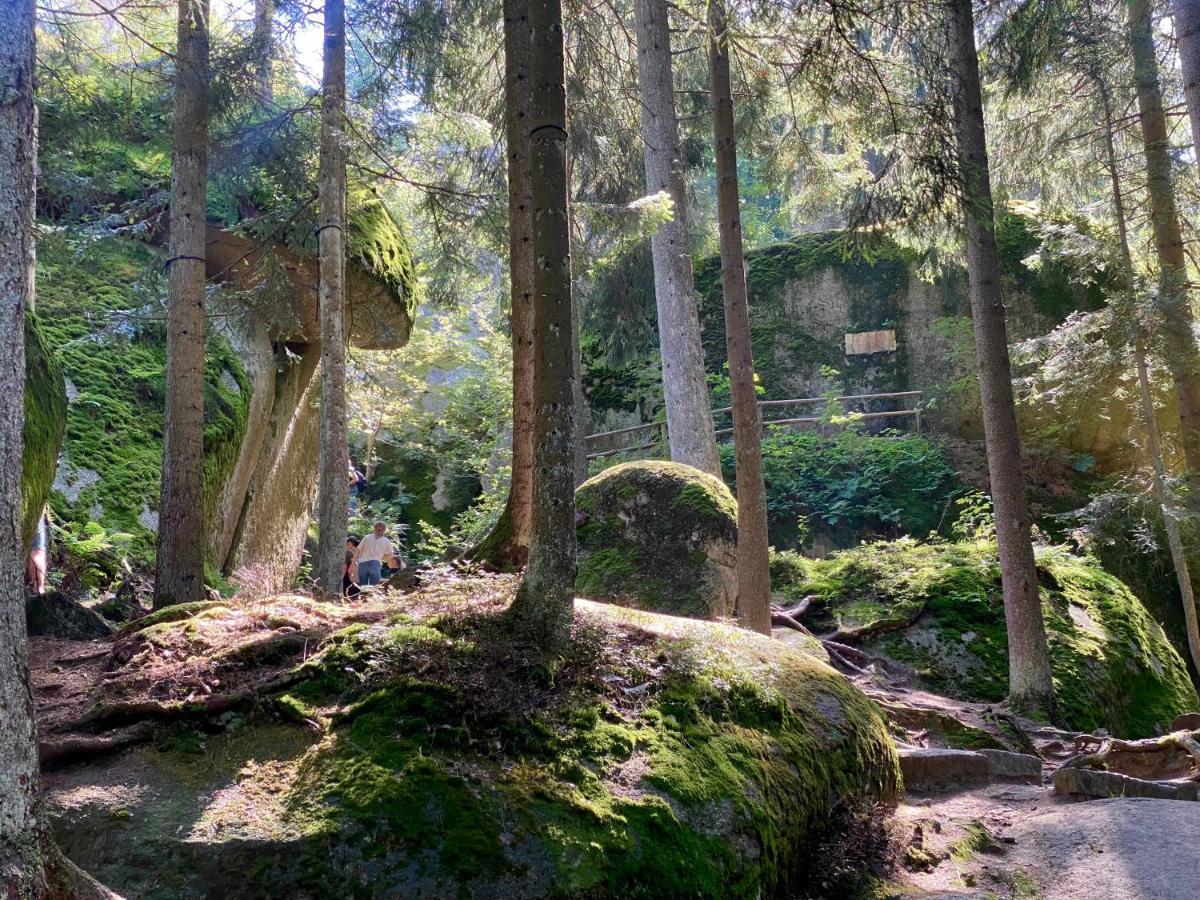 Ferienwohnung Oxana Im Naturpark Fichtelgebirge Schonwald  Εξωτερικό φωτογραφία