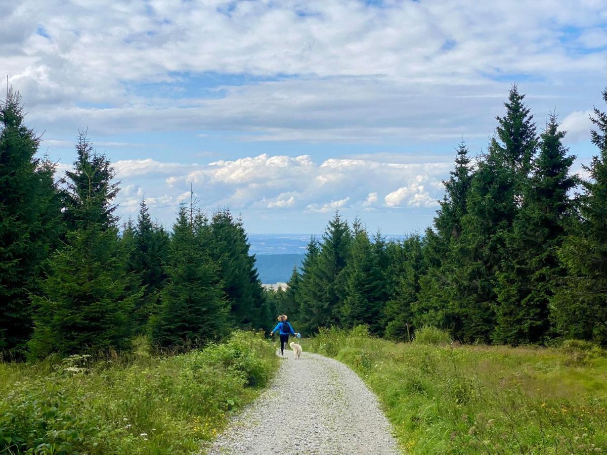 Ferienwohnung Oxana Im Naturpark Fichtelgebirge Schonwald  Εξωτερικό φωτογραφία