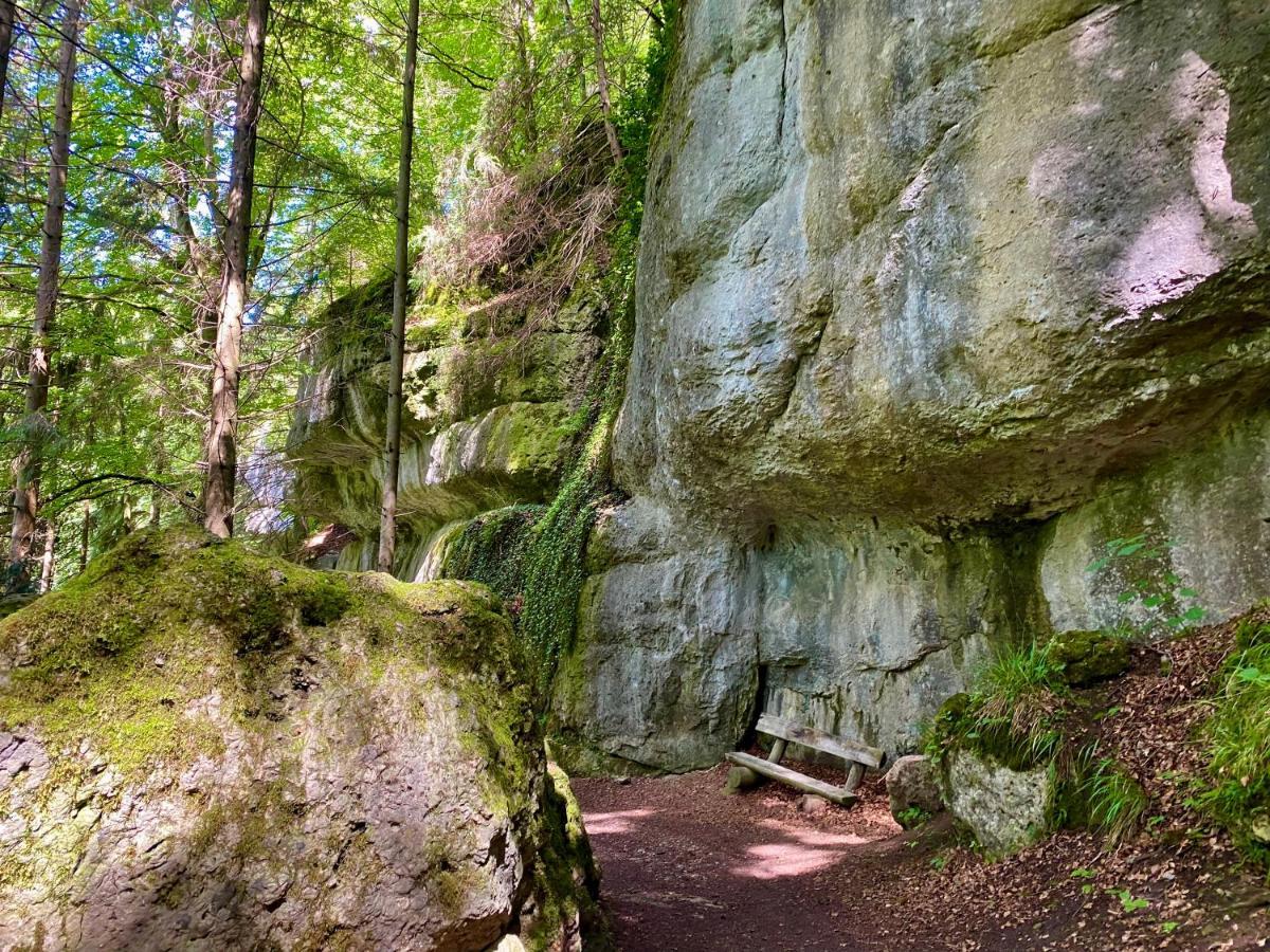 Ferienwohnung Oxana Im Naturpark Fichtelgebirge Schonwald  Εξωτερικό φωτογραφία