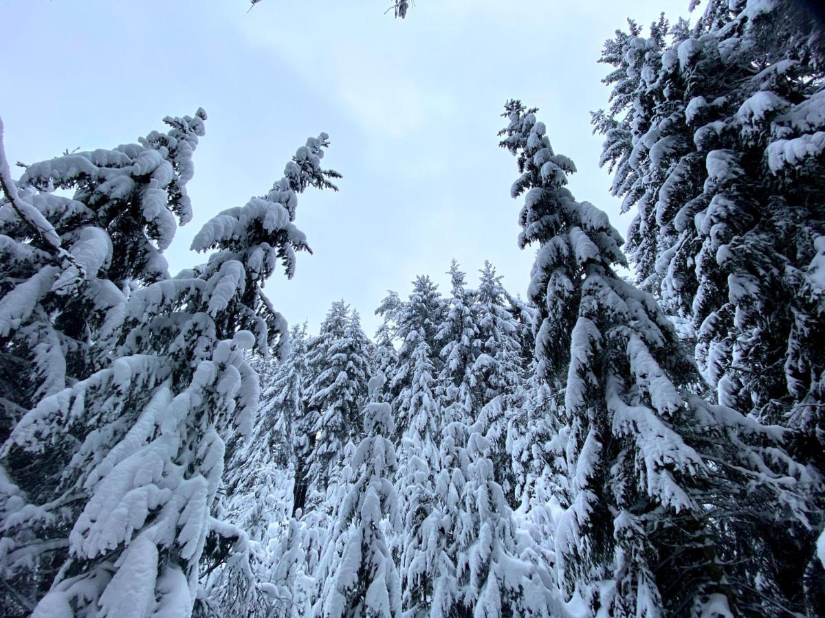 Ferienwohnung Oxana Im Naturpark Fichtelgebirge Schonwald  Εξωτερικό φωτογραφία
