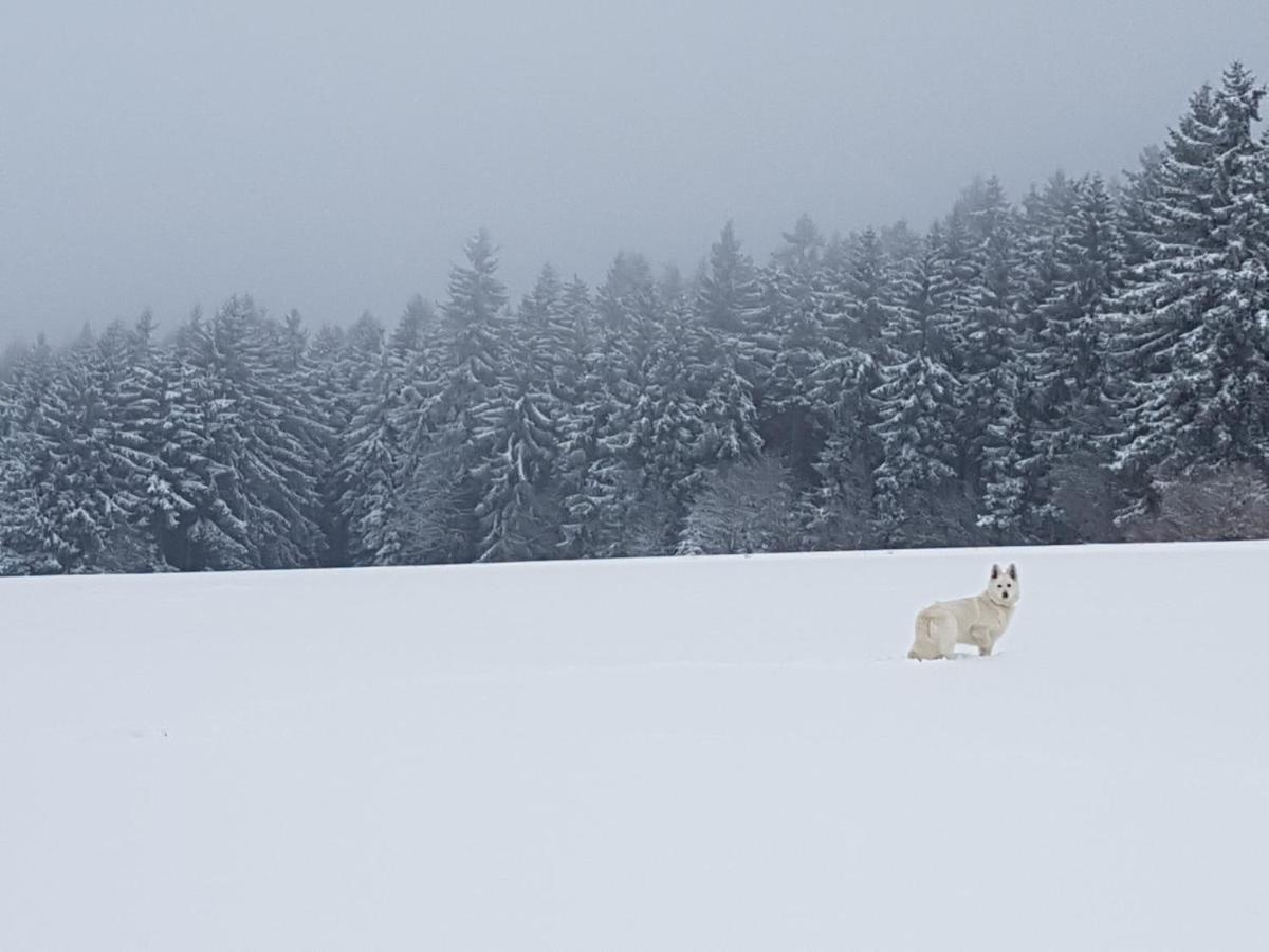 Ferienwohnung Oxana Im Naturpark Fichtelgebirge Schonwald  Εξωτερικό φωτογραφία