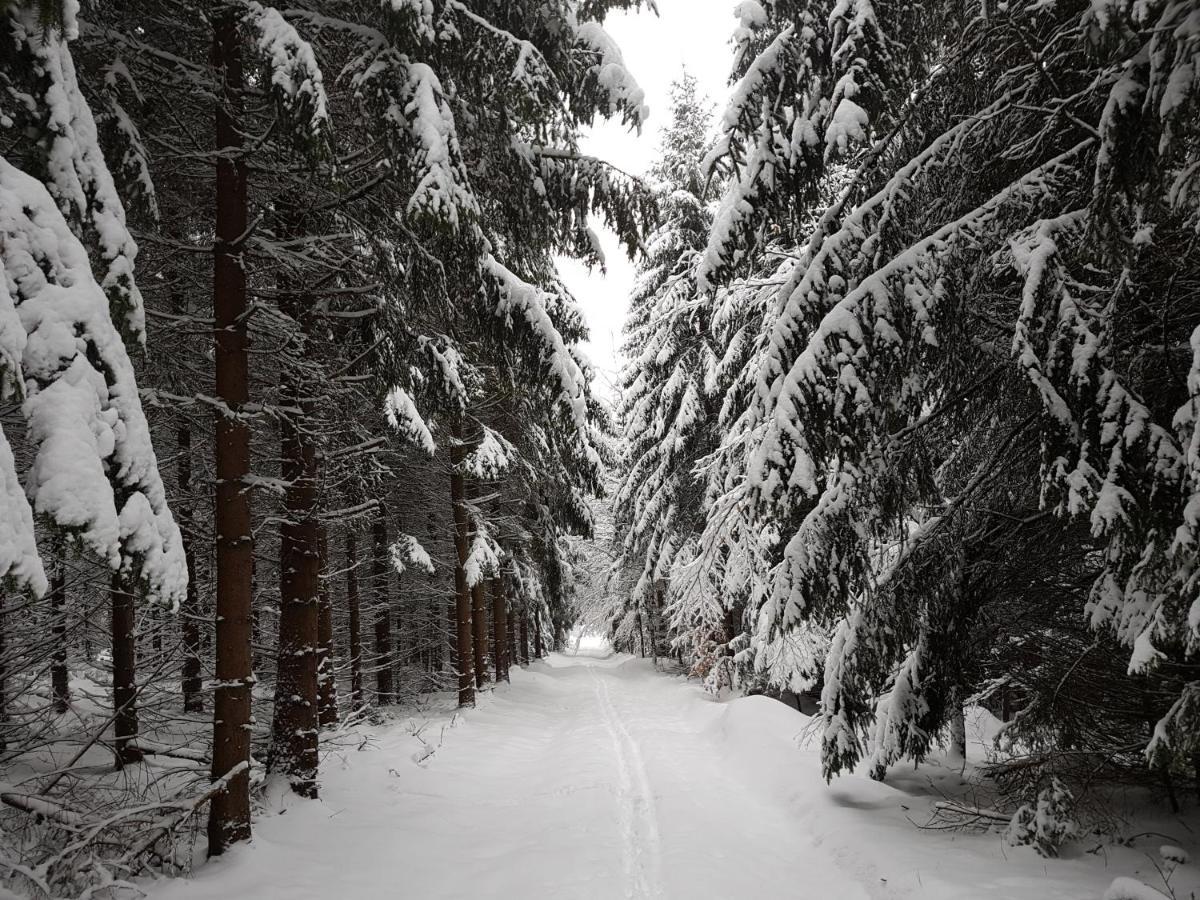Ferienwohnung Oxana Im Naturpark Fichtelgebirge Schonwald  Εξωτερικό φωτογραφία