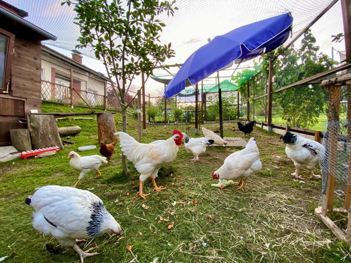 Ferienwohnung Oxana Im Naturpark Fichtelgebirge Schonwald  Εξωτερικό φωτογραφία