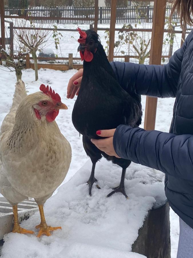 Ferienwohnung Oxana Im Naturpark Fichtelgebirge Schonwald  Εξωτερικό φωτογραφία